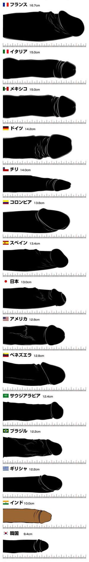 平均チン長|日本人のペニス、平均的サイズは13cm。女性からす。